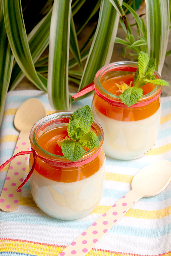 Panna cotta con coulis di melone mantovano