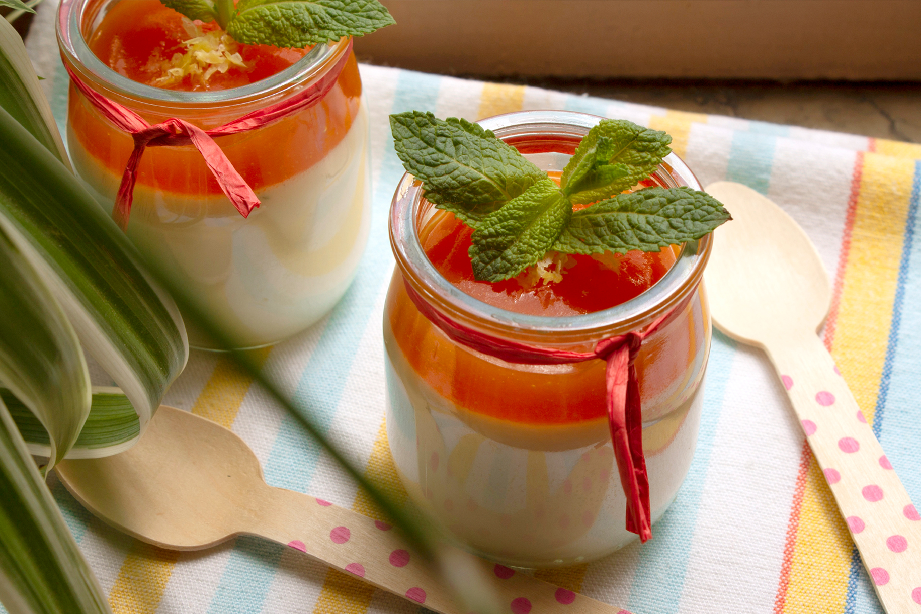 Panna cotta con coulis di melone mantovano